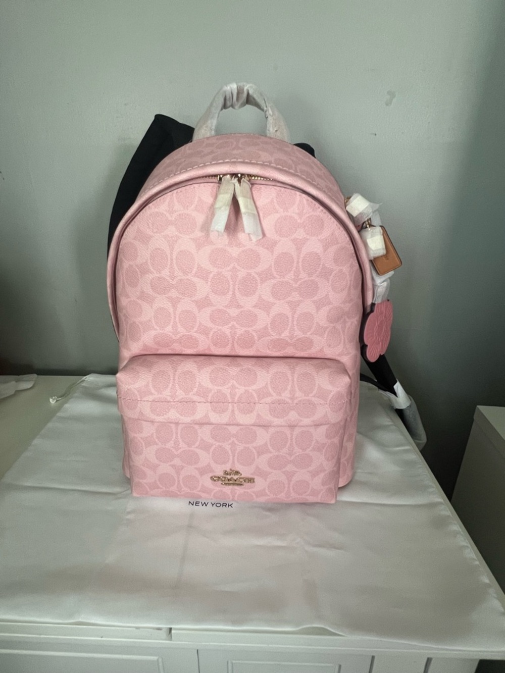 Coach Taylor Backpack In Powder Pink Color - Picture 5 of 9